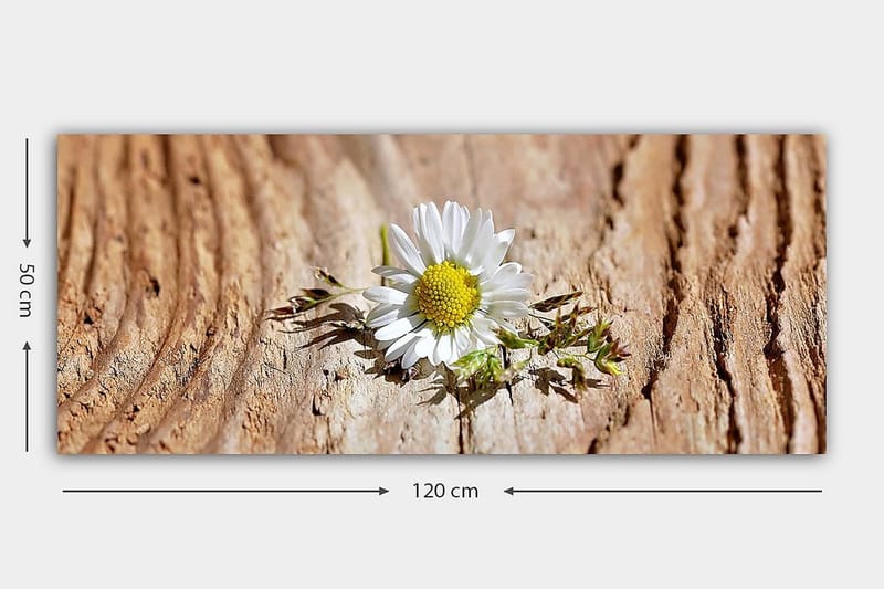 Canvastavla YTY Floral & Botanical Flerfärgad - 120x50 cm - Inredning & dekor - Tavlor & konst - Canvastavla