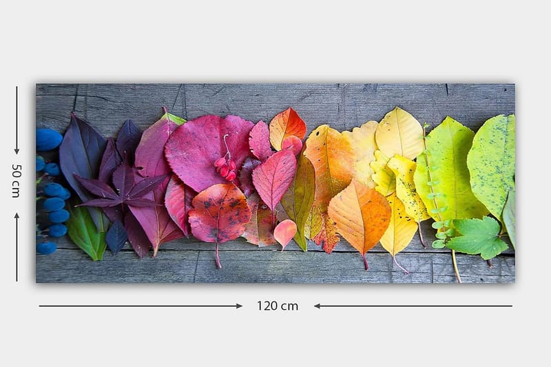 Canvastavla YTY Floral & Botanical Flerfärgad - 120x50 cm - Inredning & dekor - Tavlor & konst - Canvastavla