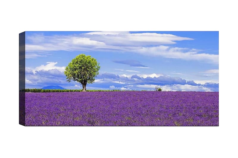 Canvastavla YTY Floral & Botanical Flerfärgad - 120x50 cm - Inredning & dekor - Tavlor & konst - Canvastavla