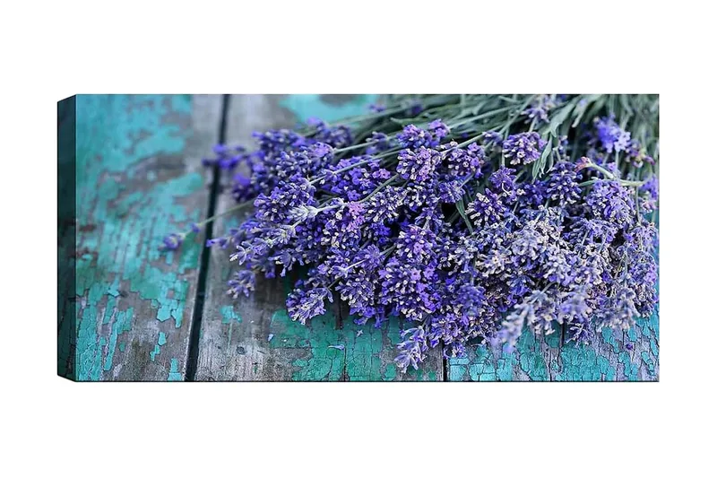 Canvastavla YTY Floral & Botanical Flerfärgad, 120x50 cm