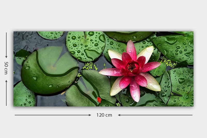 Canvastavla YTY Floral & Botanical Flerfärgad - 120x50 cm - Inredning & dekor - Tavlor & konst - Canvastavla