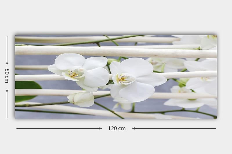 Canvastavla YTY Floral & Botanical Flerfärgad - 120x50 cm - Inredning & dekor - Tavlor & konst - Canvastavla