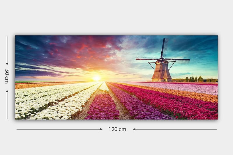 Canvastavla YTY Floral & Botanical Flerfärgad - 120x50 cm - Inredning & dekor - Tavlor & konst - Canvastavla