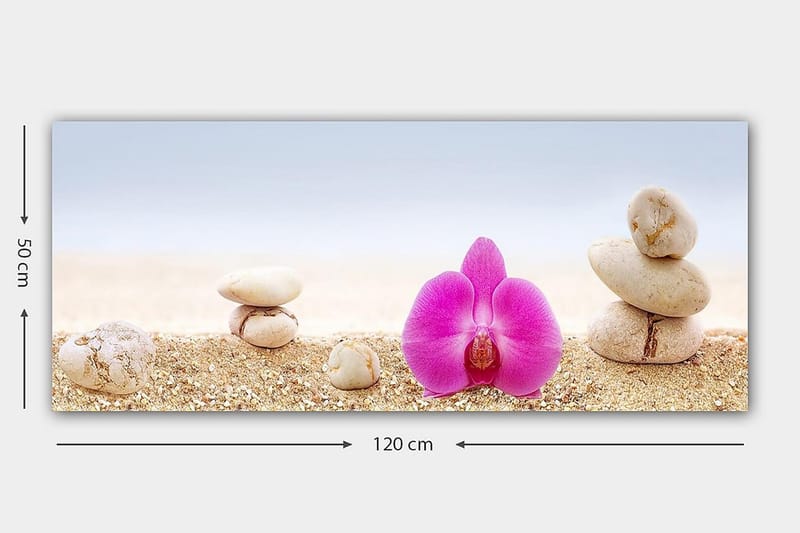 Canvastavla YTY Floral & Botanical Flerfärgad - 120x50 cm - Inredning & dekor - Tavlor & konst - Canvastavla