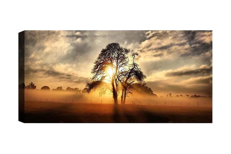 Canvastavla YTY Landscape & Nature Flerfärgad - 120x50 cm - Inredning & dekor - Tavlor & konst - Canvastavla