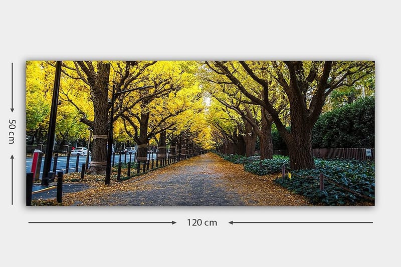 Canvastavla YTY Landscape & Nature Flerfärgad - 120x50 cm - Inredning & dekor - Tavlor & konst - Canvastavla