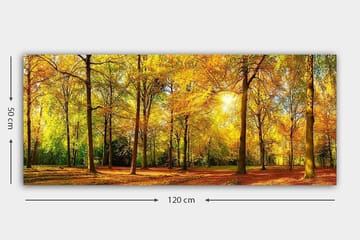 Canvastavla YTY Landscape & Nature Flerfärgad - 120x50 cm - Inredning & dekor - Tavlor & konst - Canvastavla