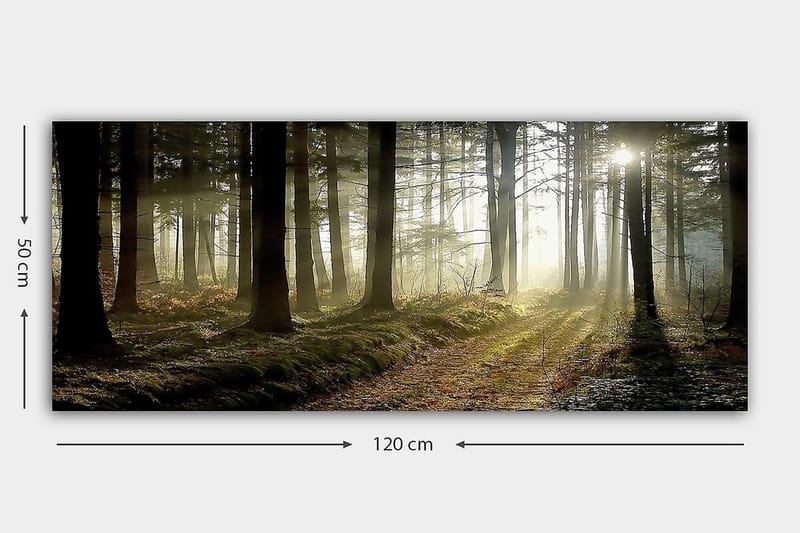 CANVASTAVLA YTY Landscape & Nature Flerfärgad 120x50 cm - Inredning & dekor - Tavlor & konst - Canvastavla