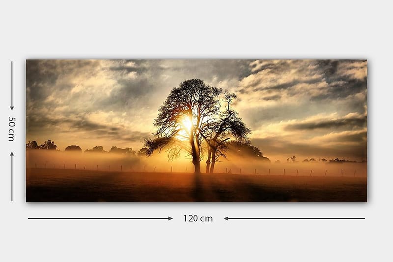 CANVASTAVLA YTY Landscape & Nature Flerfärgad 120x50 cm - Inredning & dekor - Tavlor & konst - Canvastavla