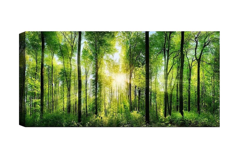 CANVASTAVLA YTY Landscape & Nature Flerfärgad 120x50 cm - Inredning & dekor - Tavlor & konst - Canvastavla