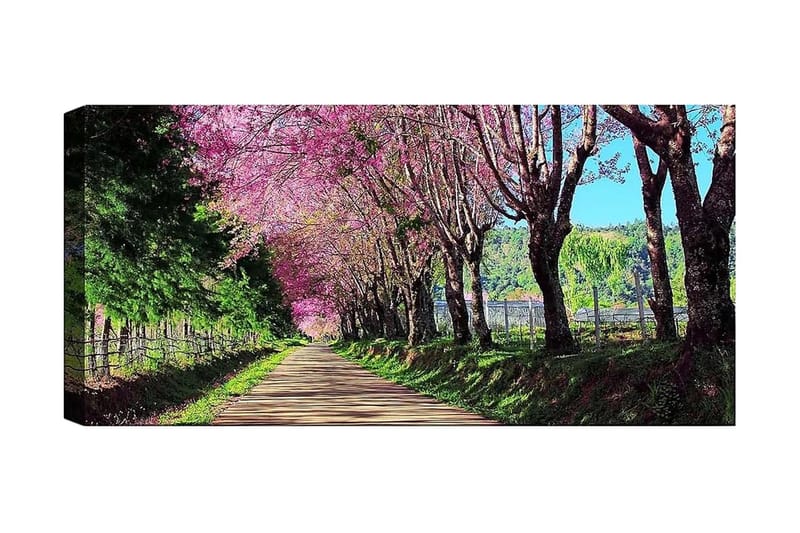 CANVASTAVLA YTY Landscape & Nature Flerfärgad 120x50 cm - Inredning & dekor - Tavlor & konst - Canvastavla