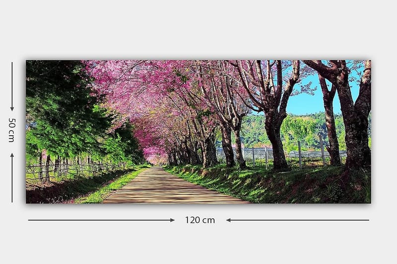 CANVASTAVLA YTY Landscape & Nature Flerfärgad 120x50 cm - Inredning & dekor - Tavlor & konst - Canvastavla