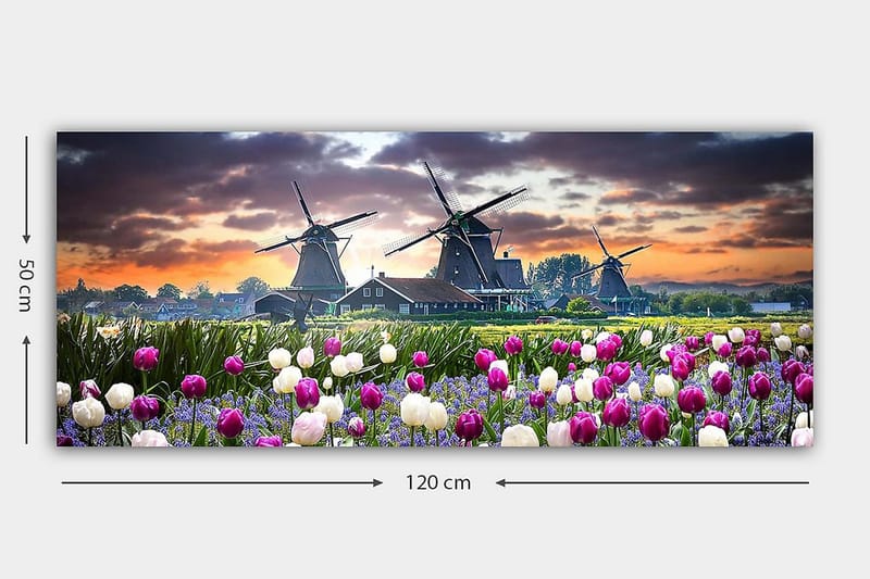 CANVASTAVLA YTY Landscape & Nature Flerfärgad 120x50 cm - Inredning & dekor - Tavlor & konst - Canvastavla