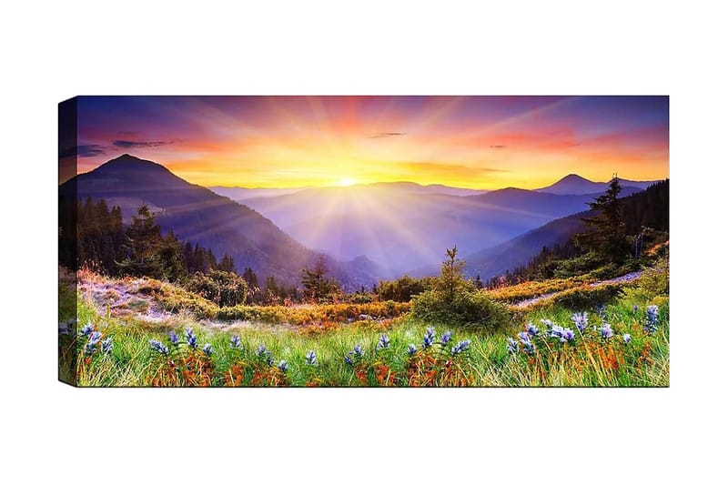 CANVASTAVLA YTY Landscape & Nature Flerfärgad 120x50 cm - Inredning & dekor - Tavlor & konst - Canvastavla