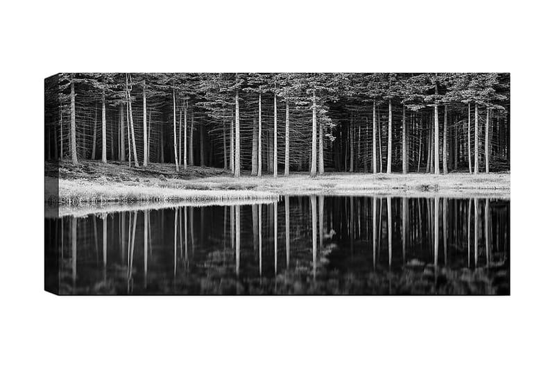 CANVASTAVLA YTY Landscape & Nature Flerfärgad 120x50 cm - Inredning & dekor - Tavlor & konst - Canvastavla
