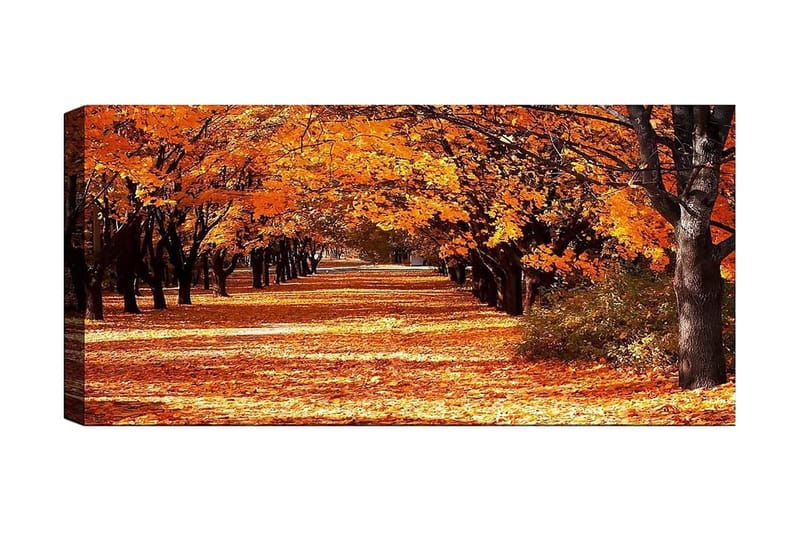 CANVASTAVLA YTY Landscape & Nature Flerfärgad 120x50 cm - Inredning & dekor - Tavlor & konst - Canvastavla
