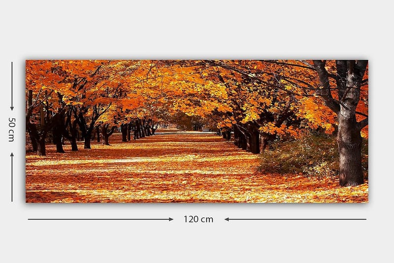 CANVASTAVLA YTY Landscape & Nature Flerfärgad 120x50 cm - Inredning & dekor - Tavlor & konst - Canvastavla