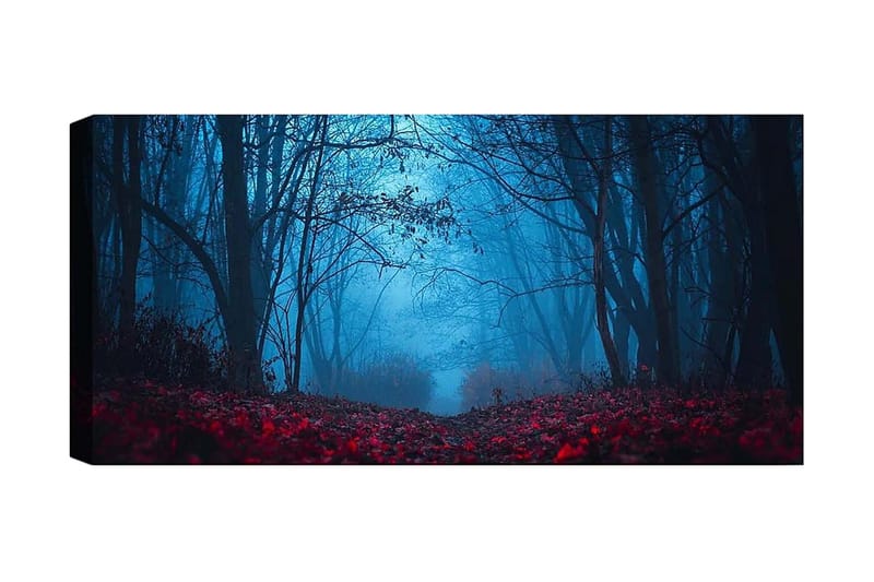 CANVASTAVLA YTY Landscape & Nature Flerf�ärgad 120x50 cm