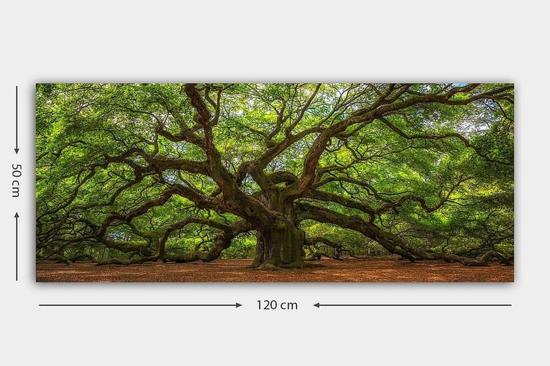 Canvastavla YTY Landscape & Nature Flerfärgad - 120x50 cm - Inredning & dekor - Tavlor & konst - Canvastavla