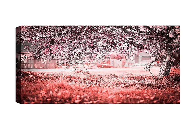 Canvastavla YTY Landscape & Nature Flerfärgad, 120x50 cm