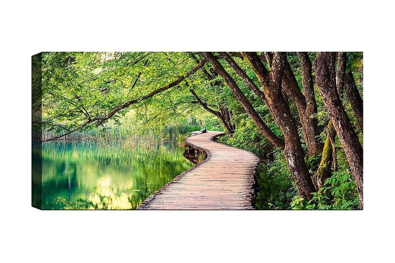 Canvastavla YTY Landscape & Nature Flerfärgad, 120x50 cm