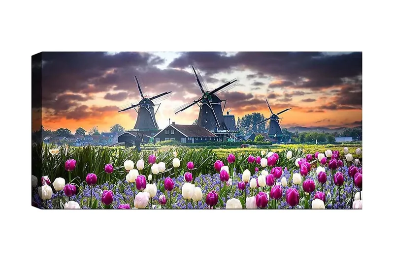 Canvastavla YTY Landscape & Nature Flerfärgad, 120x50 cm