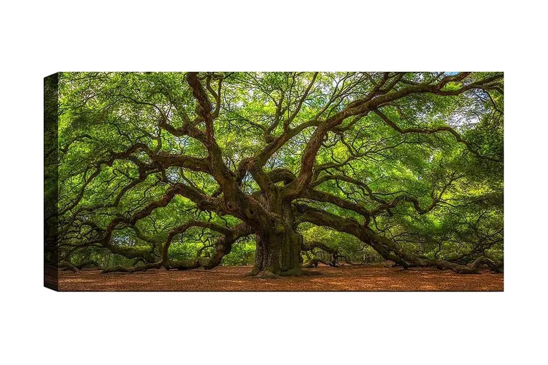 Canvastavla YTY Landscape & Nature Flerfärgad, 120x50 cm