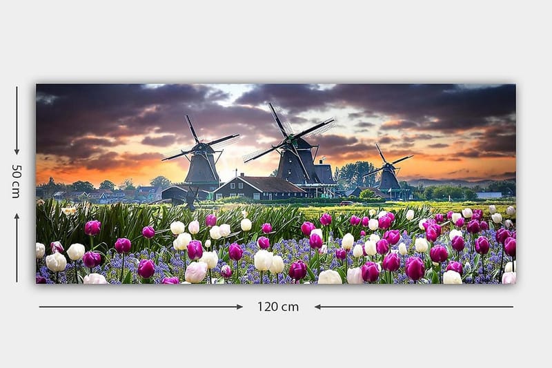 Canvastavla YTY Landscape & Nature Flerfärgad - 120x50 cm - Inredning & dekor - Tavlor & konst - Canvastavla