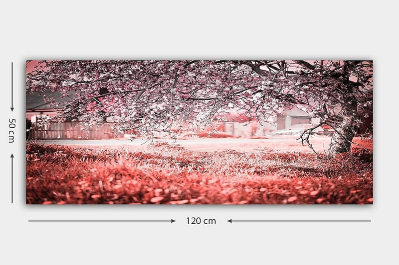 Canvastavla YTY Landscape & Nature Flerfärgad - 120x50 cm - Inredning & dekor - Tavlor & konst - Canvastavla