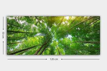 Canvastavla YTY Landscape & Nature Flerfärgad - 120x50 cm - Inredning & dekor - Tavlor & konst - Canvastavla