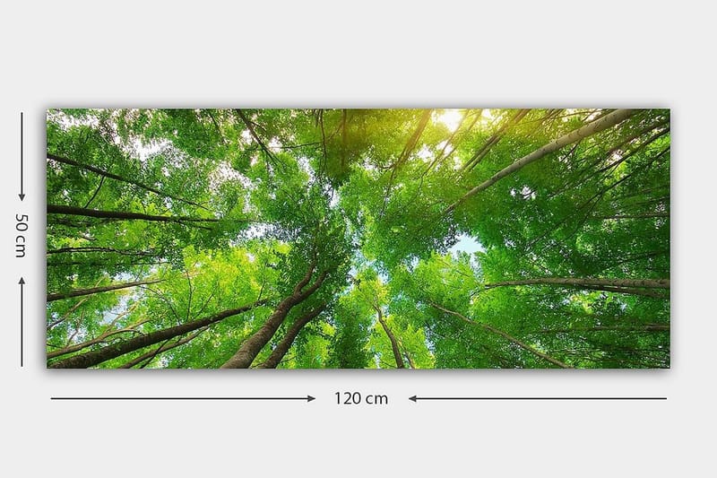 Canvastavla YTY Landscape & Nature Flerfärgad - 120x50 cm - Inredning & dekor - Tavlor & konst - Canvastavla