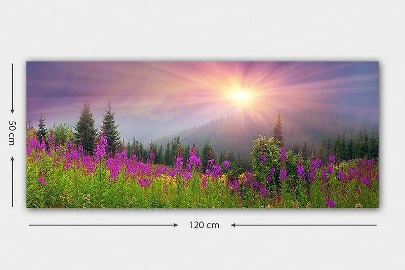 Canvastavla YTY Landscape & Nature Flerfärgad - 120x50 cm - Inredning & dekor - Tavlor & konst - Canvastavla