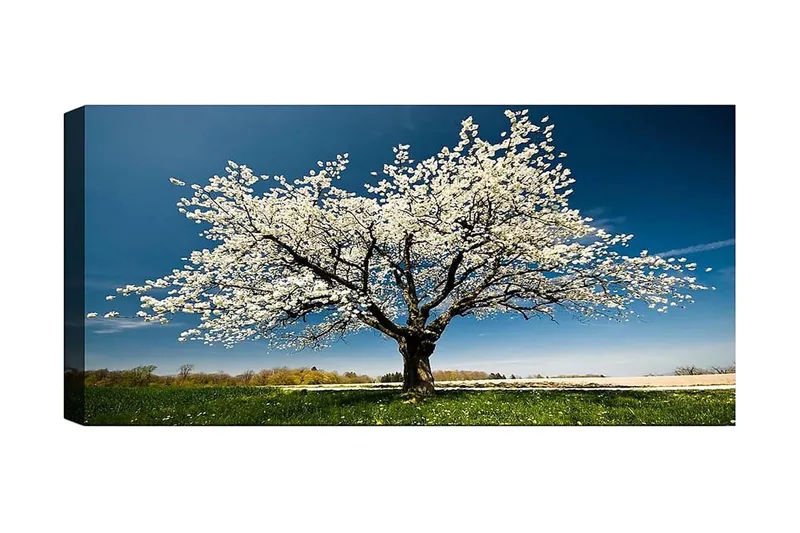 Canvastavla YTY Landscape & Nature Flerfärgad - 120x50 cm - Inredning & dekor - Tavlor & konst - Canvastavla