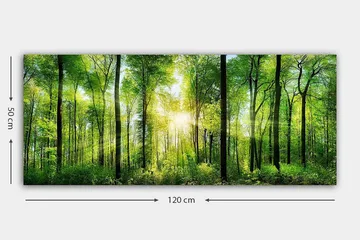 Canvastavla YTY Landscape & Nature Flerfärgad - 120x50 cm - Inredning & dekor - Tavlor & konst - Canvastavla