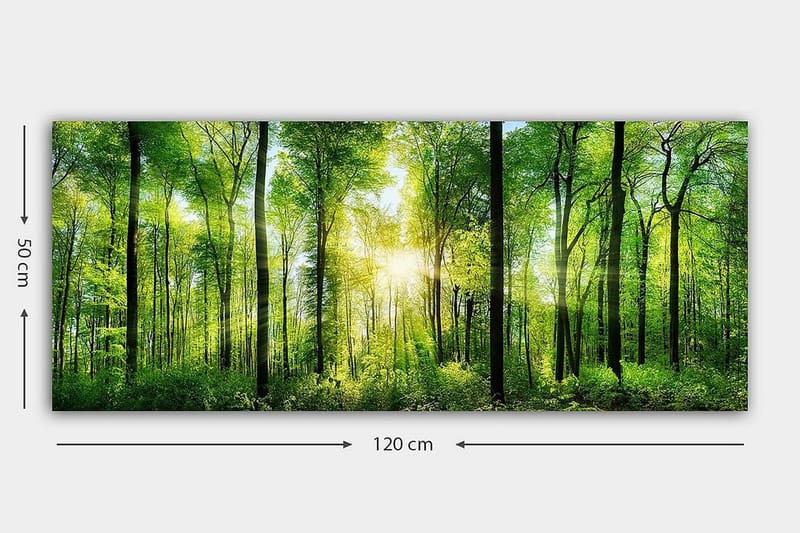 Canvastavla YTY Landscape & Nature Flerfärgad - 120x50 cm - Inredning & dekor - Tavlor & konst - Canvastavla