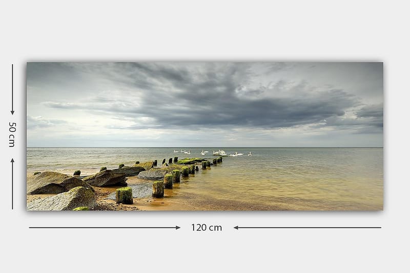 CANVASTAVLA YTY Nautical & Beach Flerfärgad 120x50 cm - Inredning & dekor - Tavlor & konst - Canvastavla
