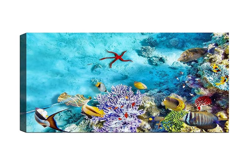 CANVASTAVLA YTY Nautical & Beach Flerfärgad 120x50 cm - Inredning & dekor - Tavlor & konst - Canvastavla