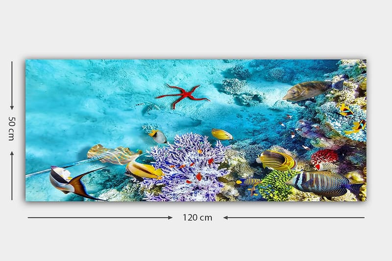 CANVASTAVLA YTY Nautical & Beach Flerfärgad 120x50 cm - Inredning & dekor - Tavlor & konst - Canvastavla