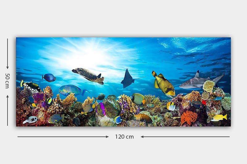 CANVASTAVLA YTY Nautical & Beach Flerfärgad 120x50 cm - Inredning & dekor - Tavlor & konst - Canvastavla