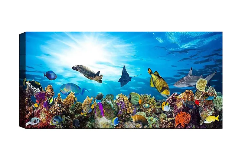 Canvastavla YTY Nautical & Beach Flerfärgad - 120x50 cm - Inredning & dekor - Tavlor & konst - Canvastavla