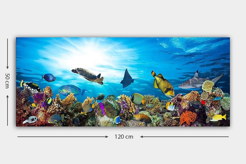 Canvastavla YTY Nautical & Beach Flerfärgad - 120x50 cm - Inredning & dekor - Tavlor & konst - Canvastavla