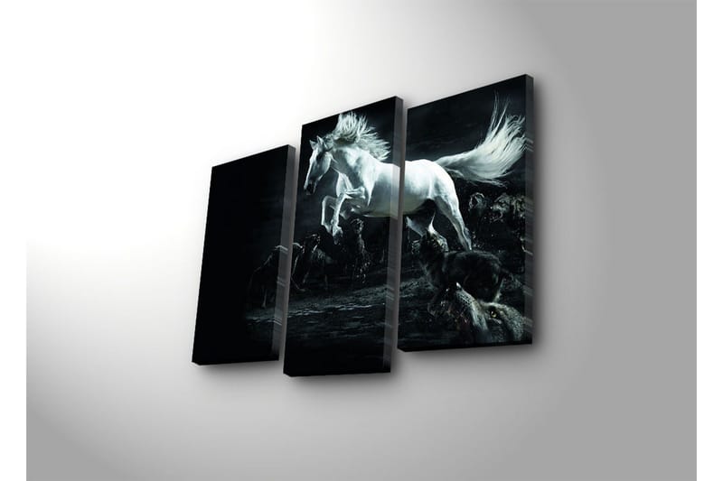 Dekorativ Canvasmålning 3 Delar - Flerfärgad - Inredning & dekor - Tavlor & konst - Canvastavla