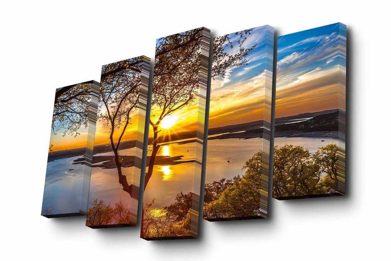 Dekorativ Canvasmålning 5 Delar, Flerfärgad