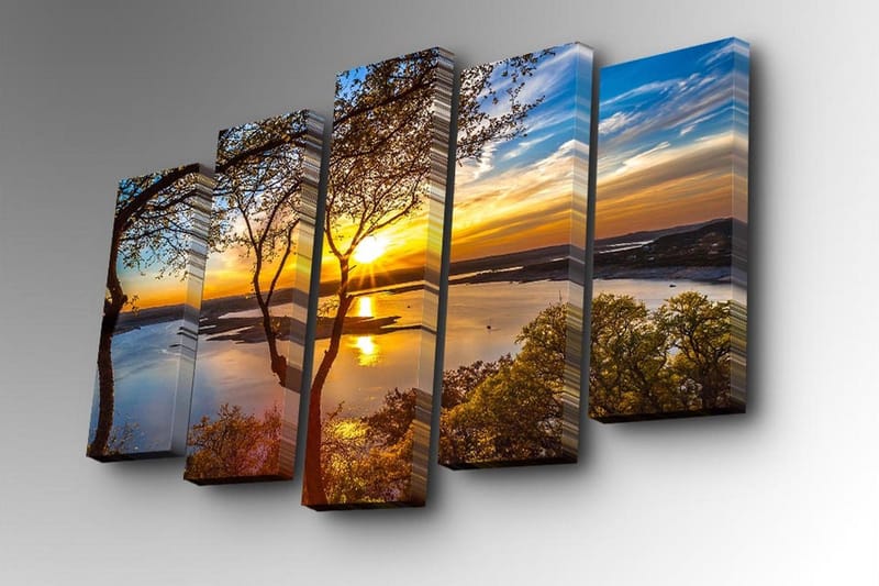 Dekorativ Canvasmålning 5 Delar - Flerfärgad - Inredning & dekor - Tavlor & konst - Canvastavla