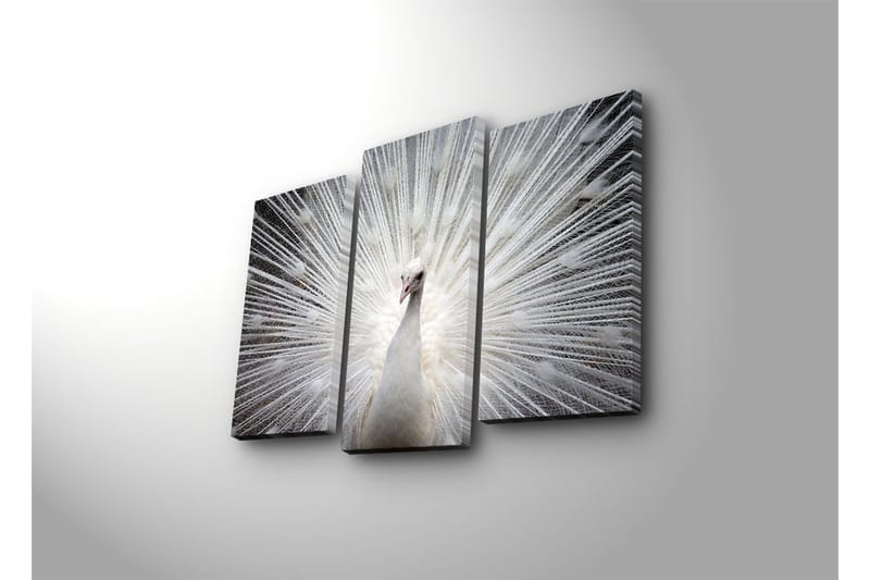 Dekorativ Canvasmålning LED-belysning 3 Delar - Flerfärgad - Inredning & dekor - Tavlor & konst - Canvastavla