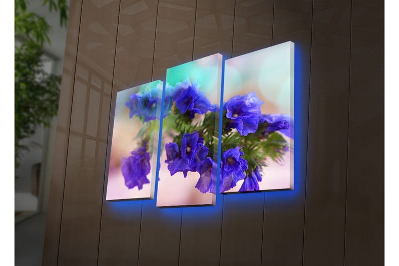 Dekorativ Canvasmålning LED-belysning 3 Delar - Flerfärgad - Inredning & dekor - Tavlor & konst - Canvastavla