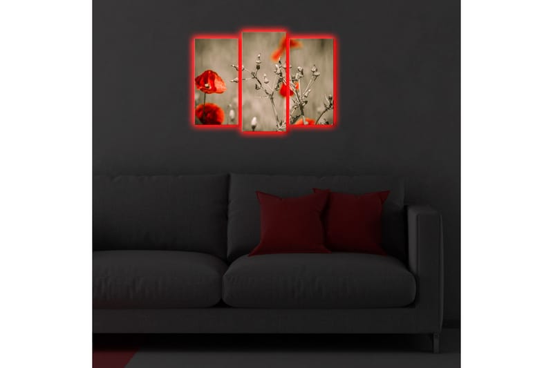 DEKORATIV Canvasmålning LED-belysning 3 Delar - Canvastavla