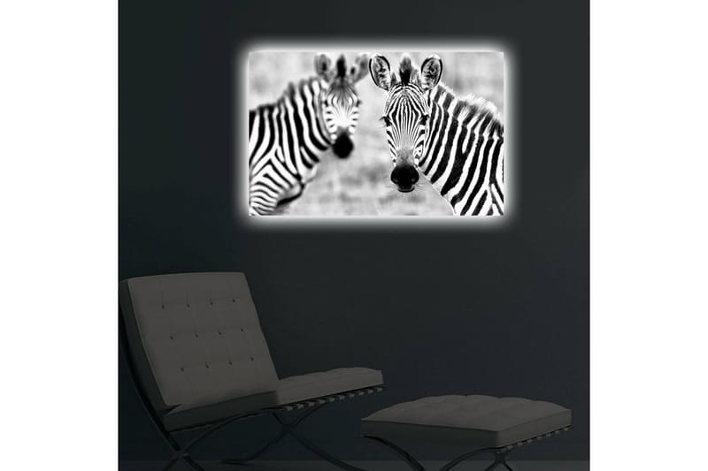 DEKORATIV Canvasmålning LED-belysning - Inredning & dekor - Tavlor & konst - Canvastavla