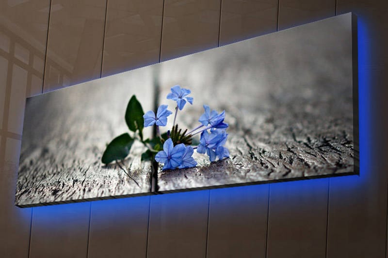 DEKORATIV Canvasmålning LED-belysning - Inredning & dekor - Tavlor & konst - Canvastavla
