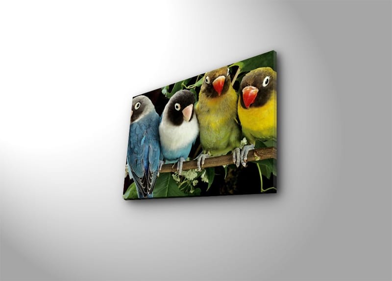 Dekorativ Canvastavla 28x38 cm, Flerfärgad